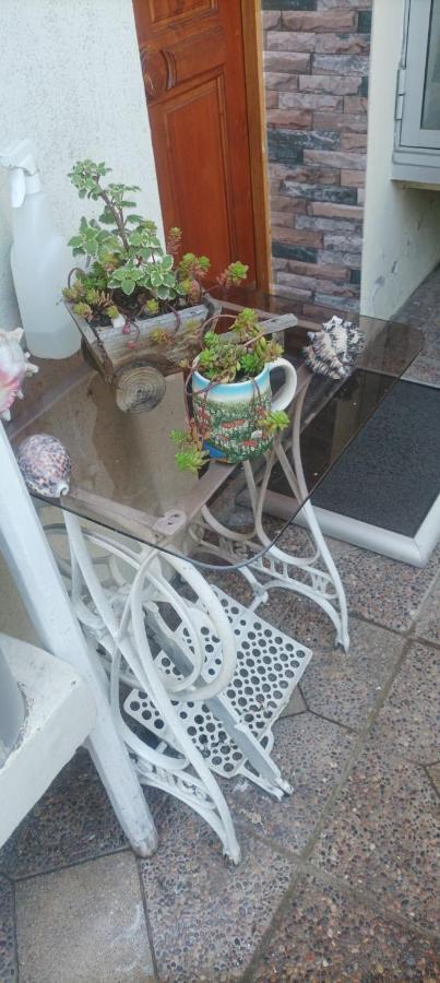 Bed and Breakfast La Ruta Del Jazz Санта-Крус Екстер'єр фото